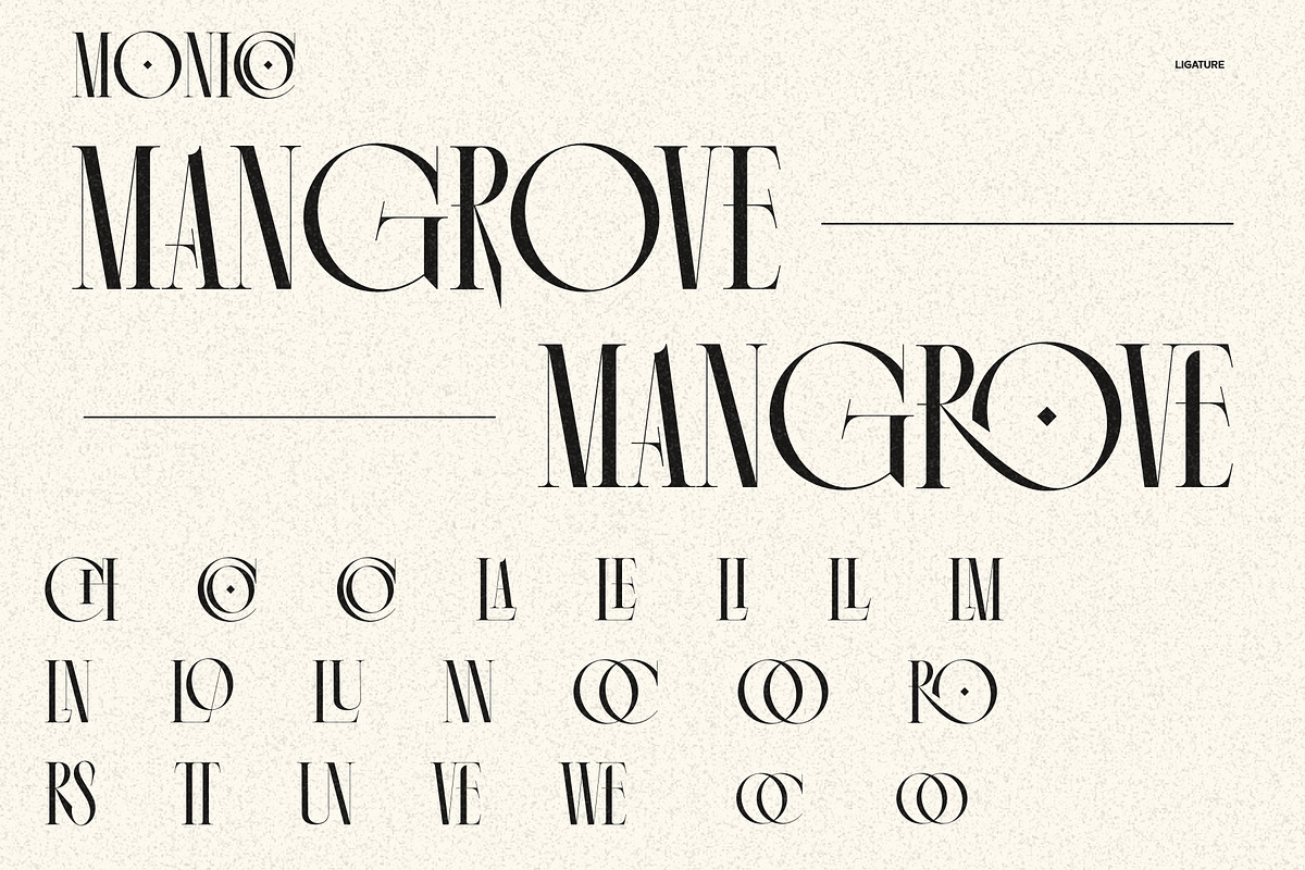 Monico Display Font, a Serif Font by Eotype Studio (Photo 10 of 11)