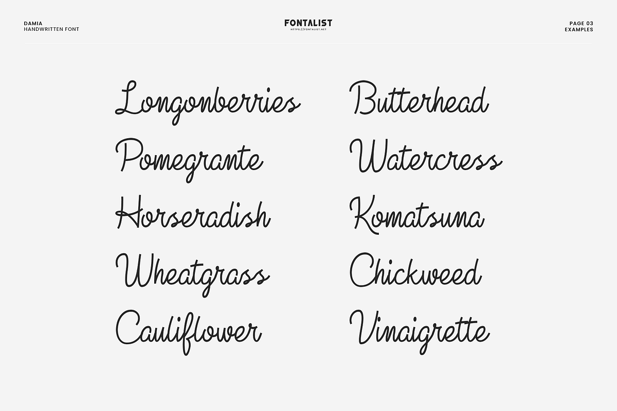 Damia Handwritting Font, a Script Font by AndriyFM (Photo 3 of 6)