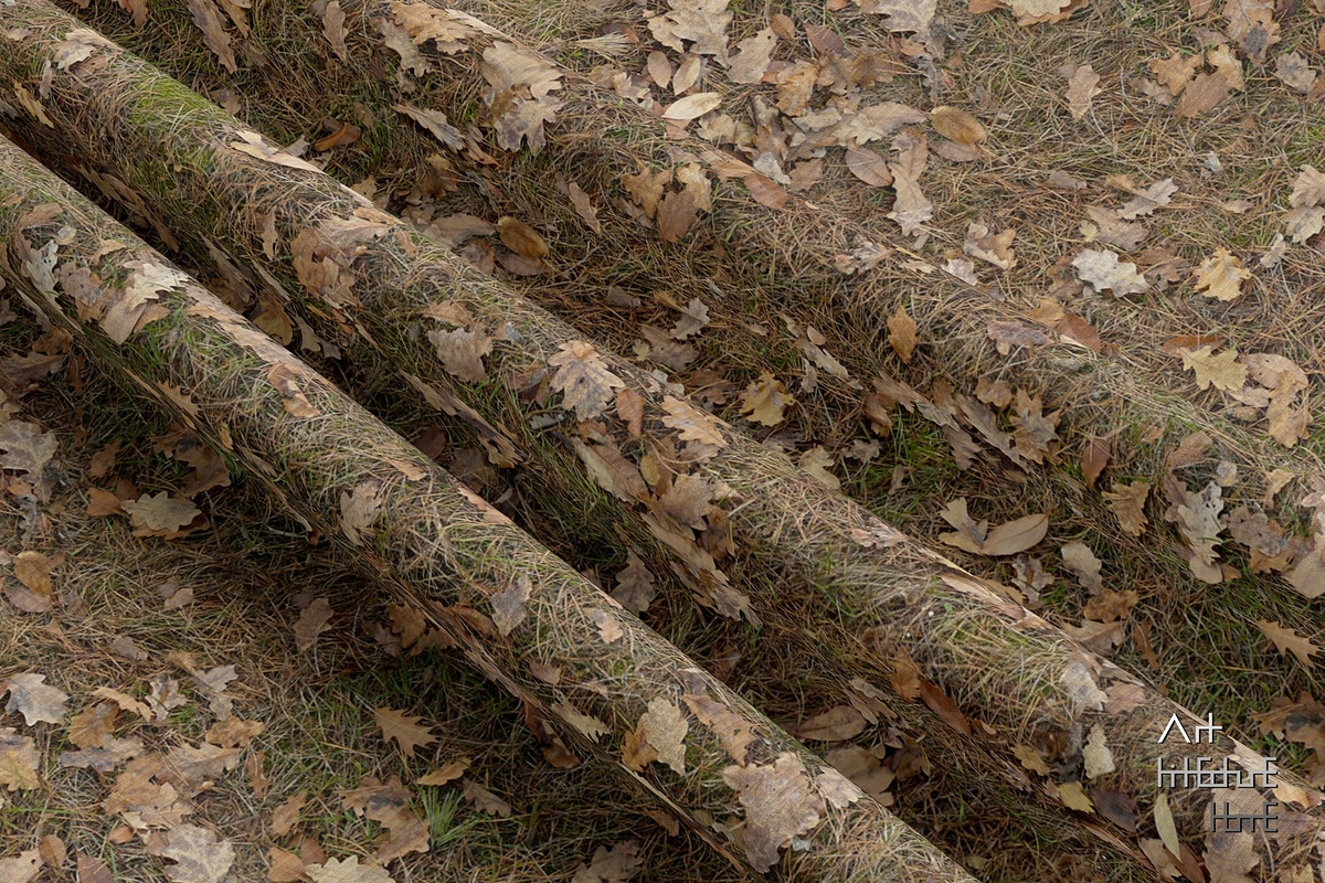 Seamless Ground Textures-Autumn Moss, a Texture Graphic by Arthitecture Home (Photo 6 of 11)