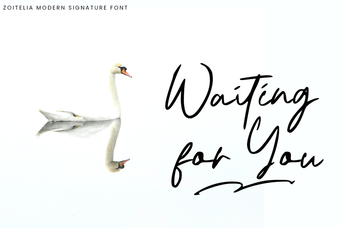 Zoitelia - Modern Signature Font, a Script Font by Megatype (Photo 5 of 11)