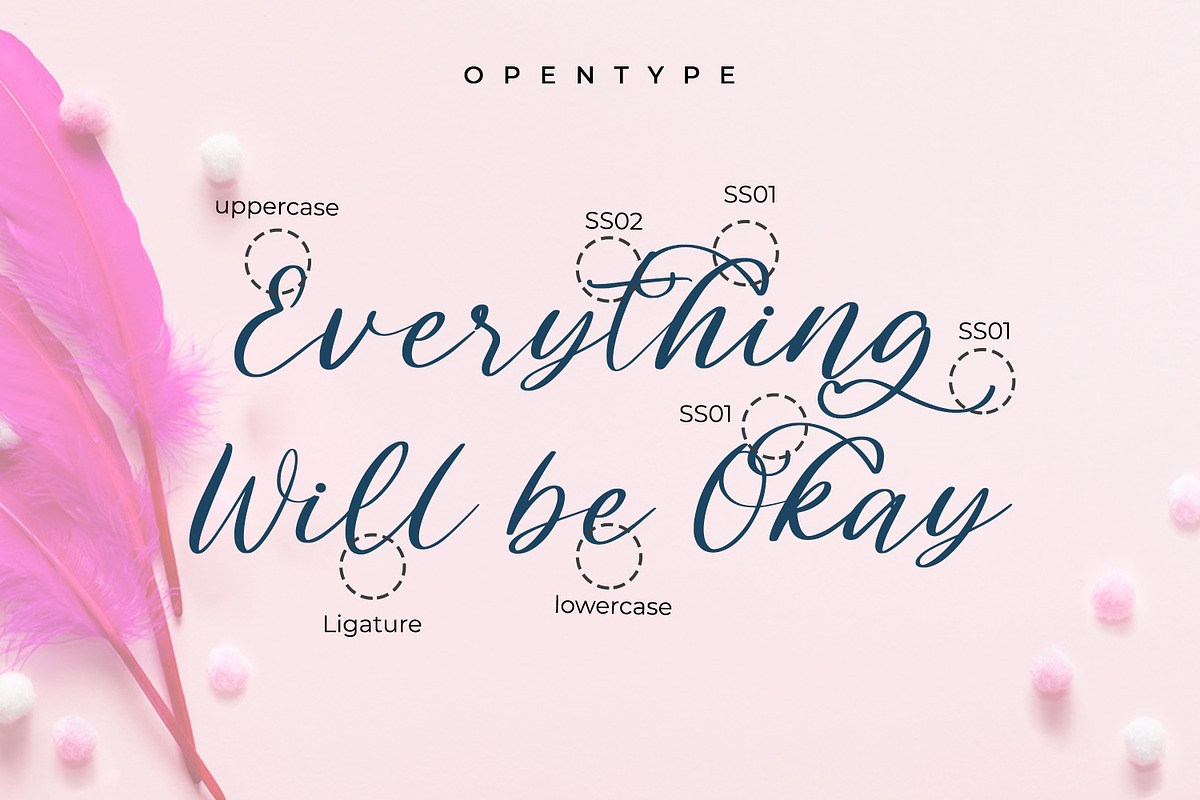 Cladessia, a Script Font by Ditatype (Photo 3 of 8)