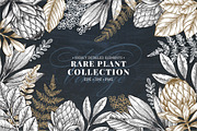 Rare plant collection, a Decorative Illustration by adehoidar (Thumbnail 1 of 7)