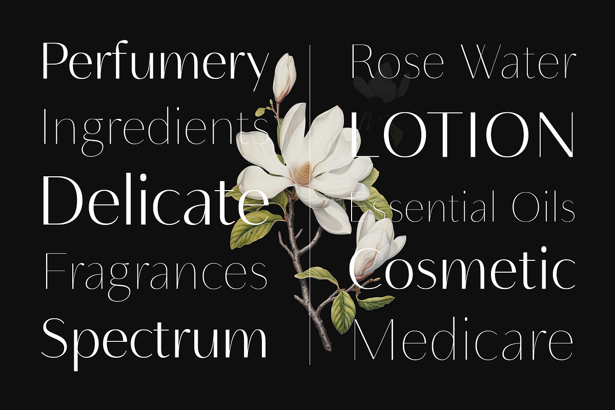Neue Mylon - 21 Fonts, a Sans Serif Font by Nasir Udin (Photo 3 of 14)