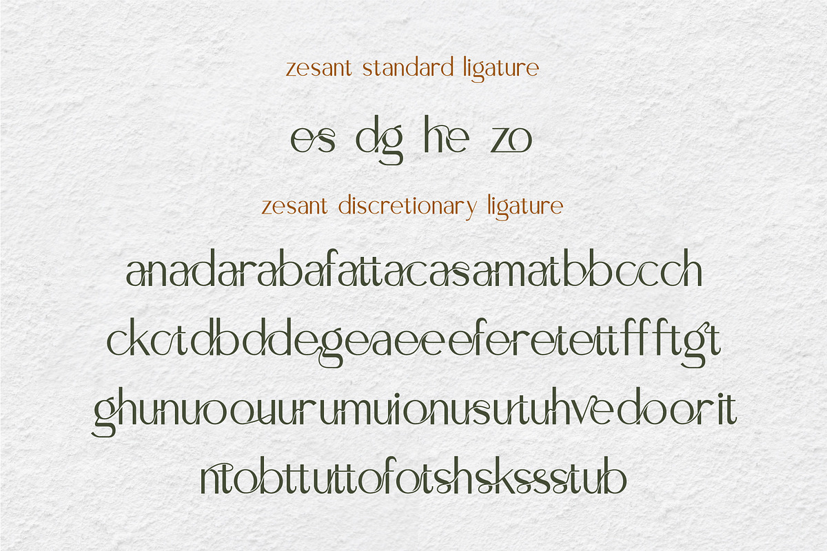 Zesant preview 6