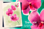 SB's Super Simple Watercolor Set, a Brush Add-On by Sandra Mejia (Thumbnail 19 of 19)