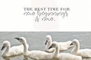 Blooming - Handwritten Font, a Handwritten Font by KA Designs (Thumbnail 4 of 6)