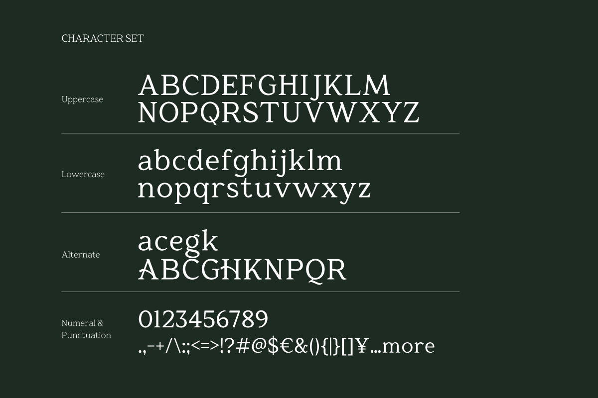 Res Minevia - Organic Estate Serif, a Serif Font by twinstd (Photo 9 of 10)