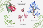 Australian Wildlife Watercolor Set, an Animal Illustration by Catch the Dream Art (Thumbnail 3 of 11)