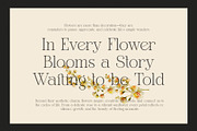 Gafien Elegant Modern Serif Font, a Serif Font by Graphicxell (Thumbnail 5 of 8)