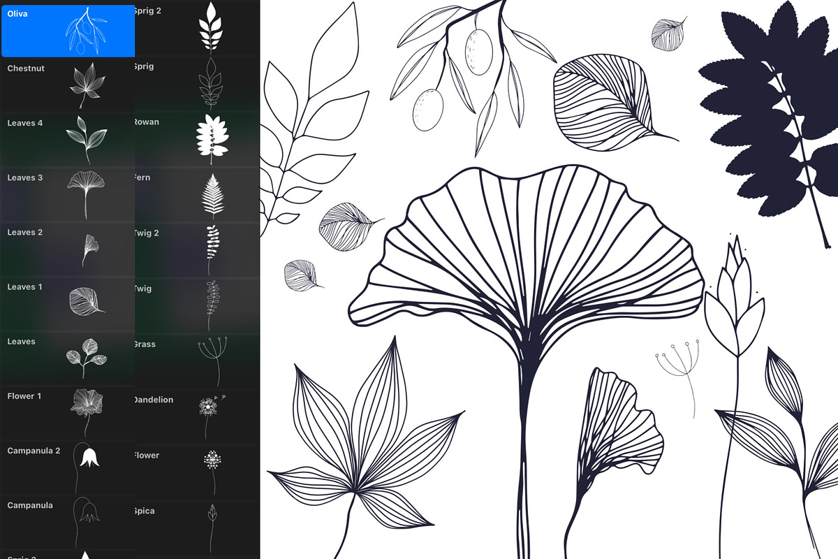 Botanical Procreate brush stamps, a Brush Add-On by DatsenCreate