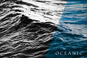 Majestic: Black + White PS Actions, an Action Add-On by Heart + Soul Studios (Thumbnail 10 of 15)