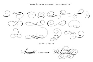 43 Calligraphic Flourishes Bundle