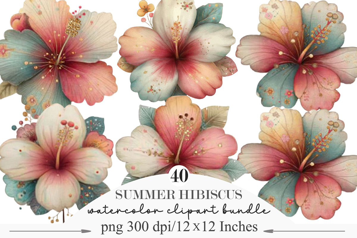 Whimsical Summer Hibiscus Clipart, an Illustration by Designking (Photo 1 of 10)