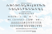 Graceful Bright | Script Font, a Handwritten Font by Scratchones (Thumbnail 7 of 9)