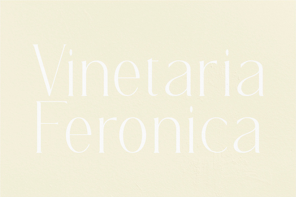 REGOZA//Typeface Slim Serif, a Serif Font by Kleffont Studio (Photo 9 of 9)