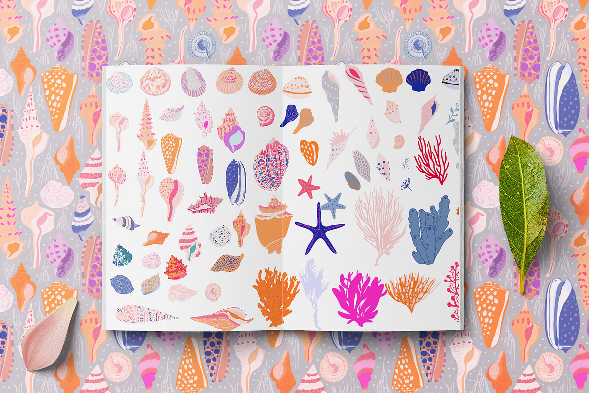 seashells collection, a Texture Illustration by Mona Ahmed (Photo 9 of 10)