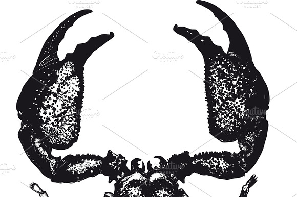 Scorpiot Tatoo. View from the top preview 2