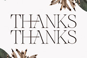Nocashe New Display Serif Font, a Serif Font by Storytype Studio (Thumbnail 15 of 15)
