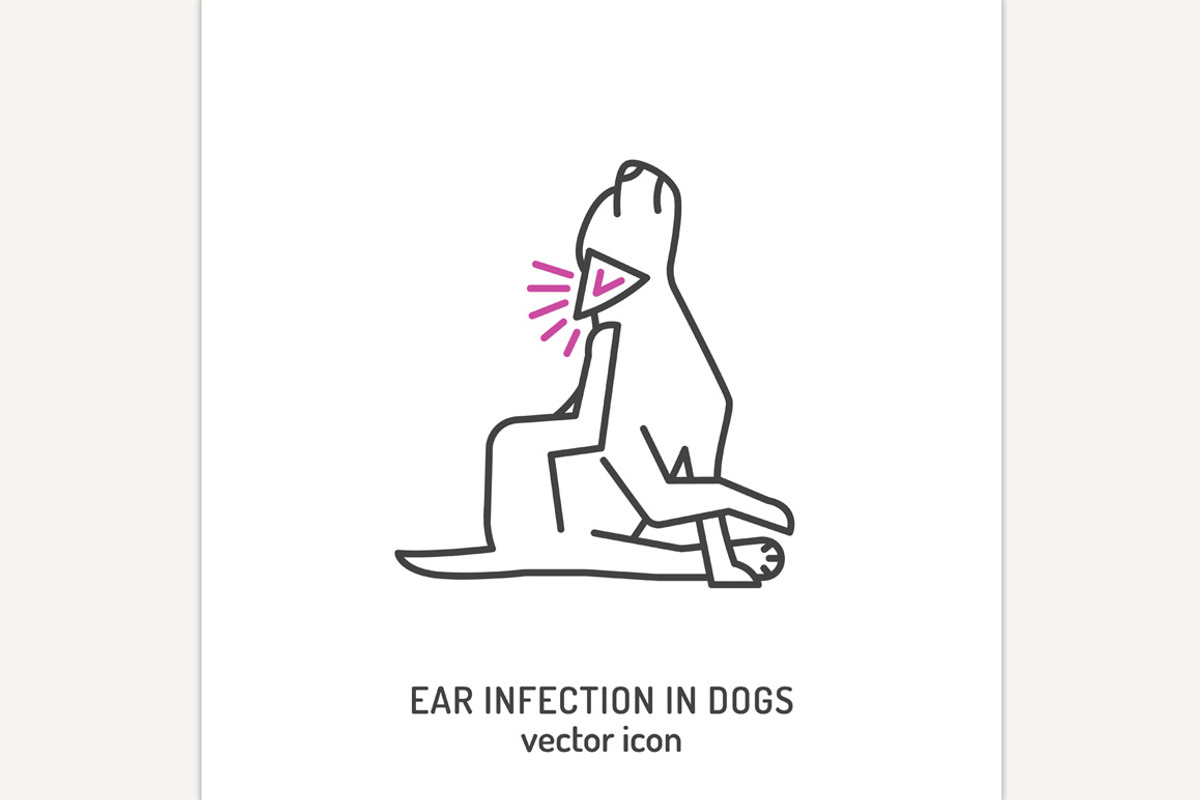 Ear infection in dogs. Linear icon, an Outline Icon by Anna's Shop