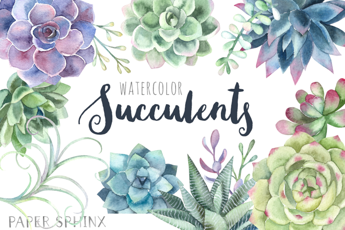 Watercolor Succulents Clipart, an Illustration by PaperSphinx (Photo 1 of 3)