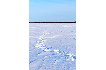Road tracks on winter lake sunny, a Holiday Photo by darksoul72