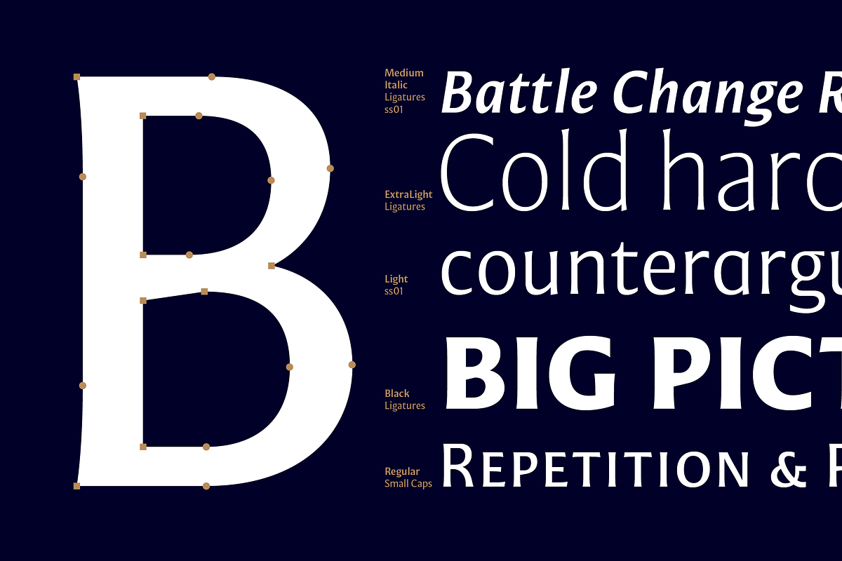 Mestiza Sans, a Sans Serif Font by Lechuga Type (Photo 10 of 19)
