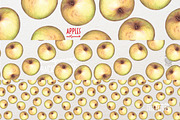 Apples With Colour Pencils + Bonus, a Food Illustration by Andrea Tardivo (Thumbnail 7 of 15)