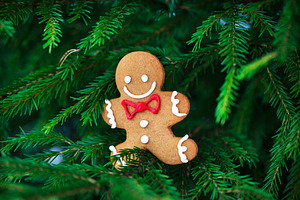 Cute Gingerbreadman Christmas cookie