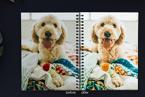 Cute Pets Lightroom Presets