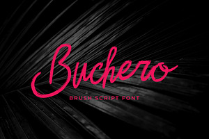 Buchero Brush Script Font