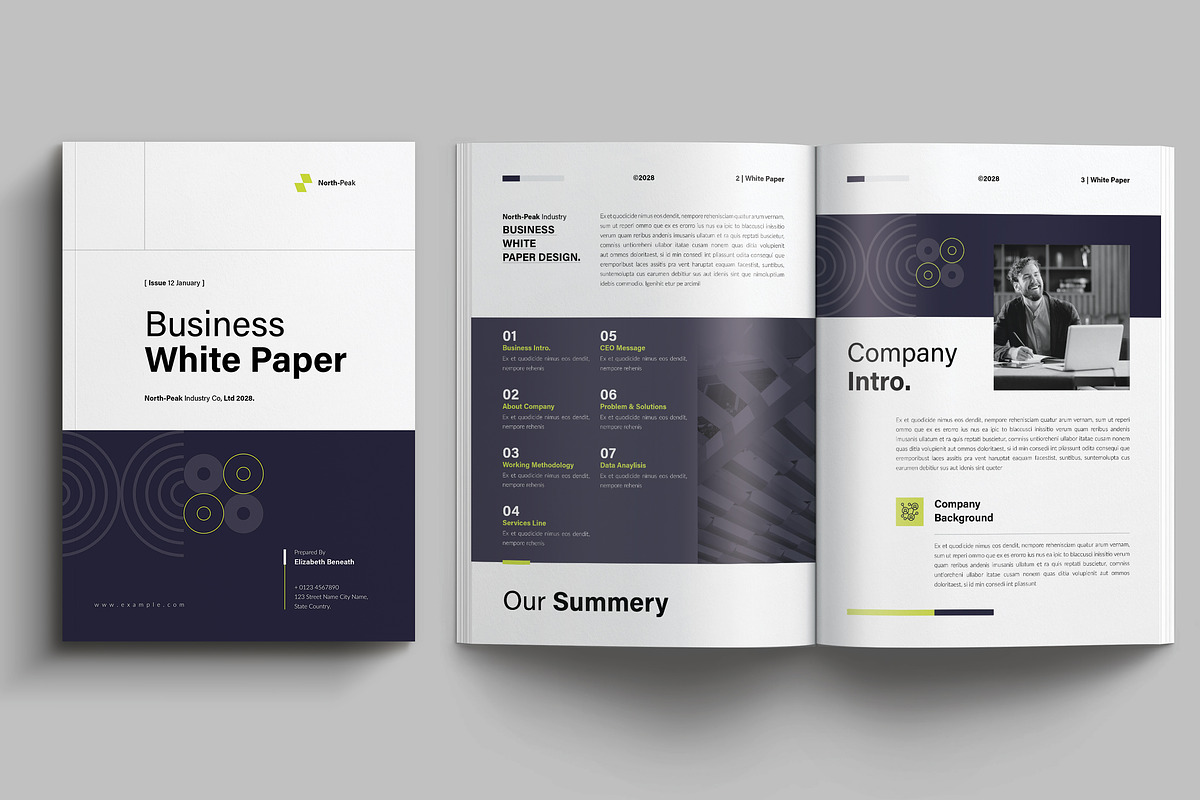 White Paper Template, a Brochure Template by NorthPeak (Photo 4 of 13)