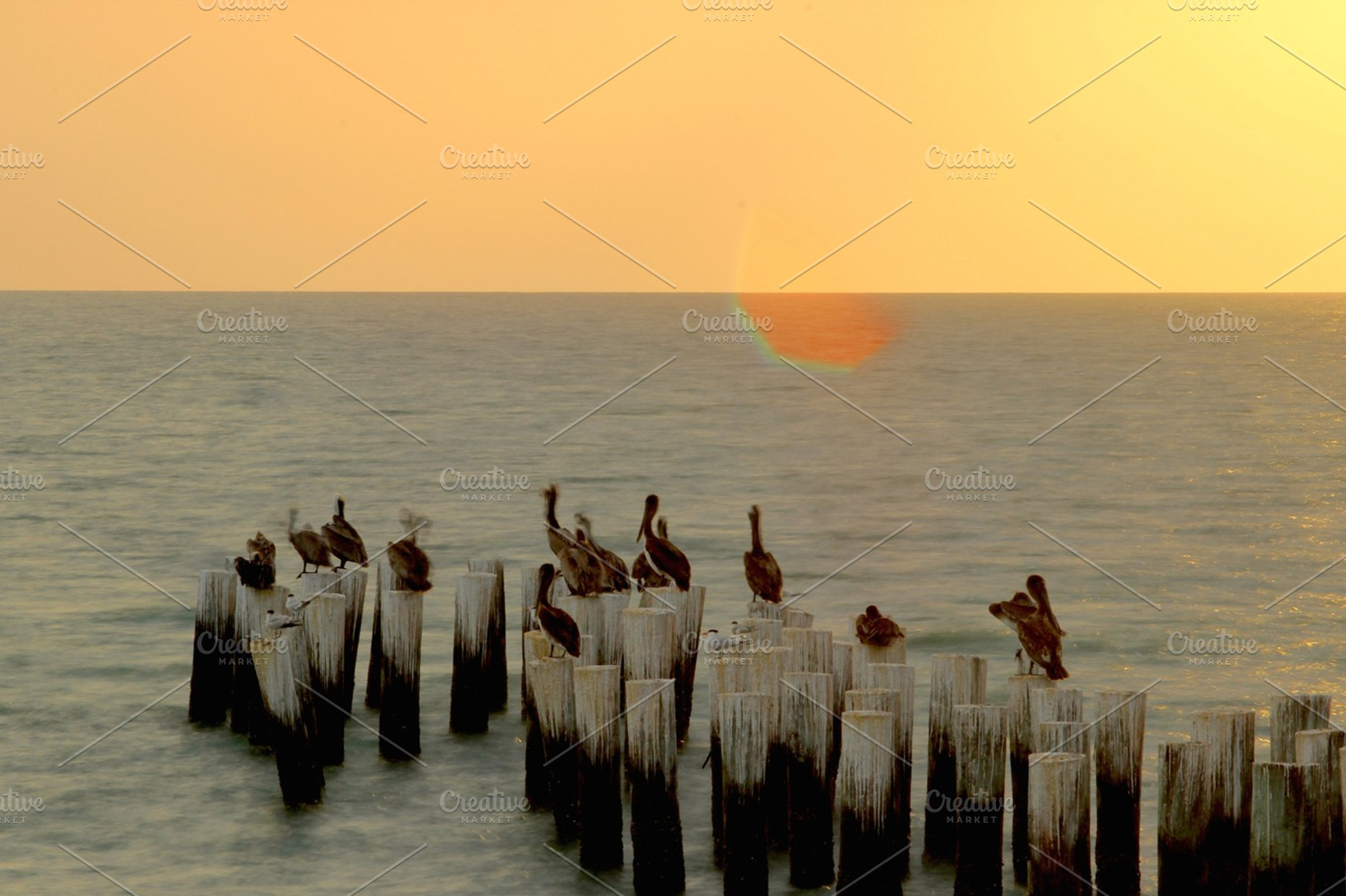 A Wrecked Dock v2, a Nature Photo by Andrew Schubert Visuals