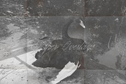 Handcrafted Paper Overlay Archive, a Texture Graphic by lerinartstudio (Thumbnail 10 of 13)