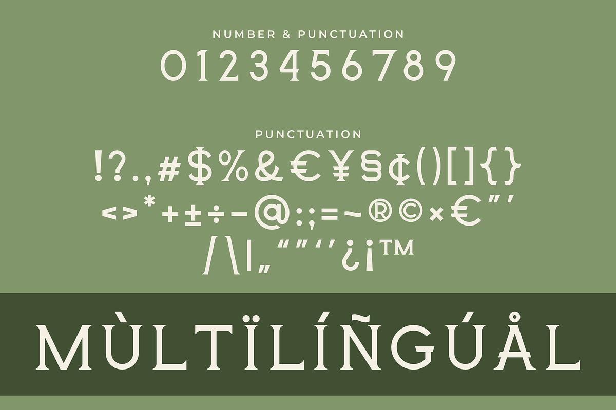 Delavine - Modern Serif Font, a Serif Font by Mily Studio (Photo 13 of 15)