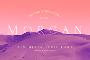 Morgan - Serif Font, a Serif Font by Salamahtype (Thumbnail 1 of 9)