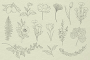 Botanical Procreate stamps, cliparts, a Brush Add-On by Veronika Gotovceva (Thumbnail 5 of 6)