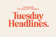 Eighties Comeback Serif (70 fonts), a Serif Font by Nicky Laatz (Thumbnail 33 of 47)