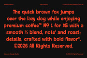 Widston — A Chunky Hand-Drawn Font, a Handwritten Font by Mbonster Design Studio (Thumbnail 4 of 16)