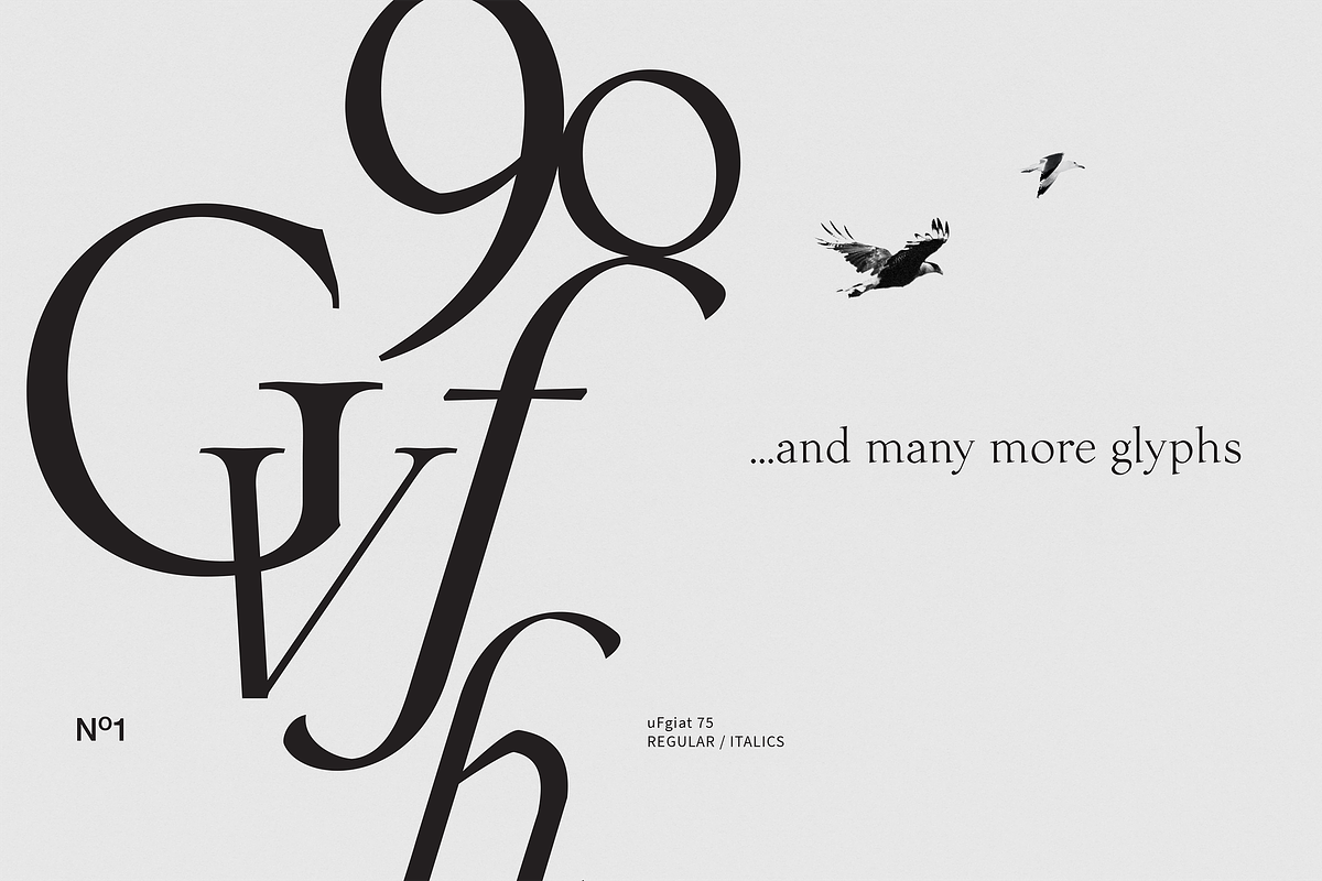 uFgiat75 Serif, a Serif Font by silukEight (Photo 9 of 9)