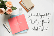 Angelica (Black Friday Sale), a Script Font by Deniz86 (Thumbnail 10 of 11)