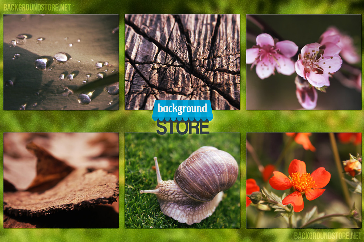 Nature Images Bundle preview 5