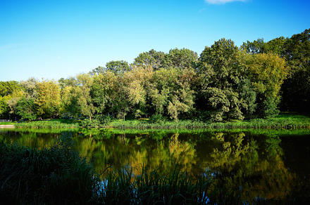 City lake in autumn park landscape background, a Nature Photo by RETROWAVE '88