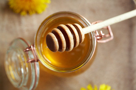 Honey dipper over a jar of homemade dandelion honey, a Food & Drink Photo by Madeleine Steinbach