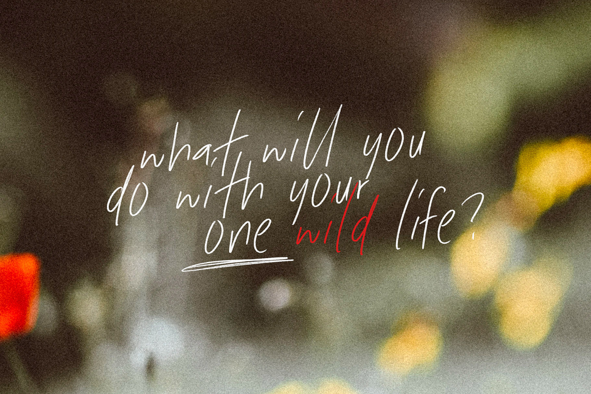Oliver Label Font Free Downloadv - UIFreebies