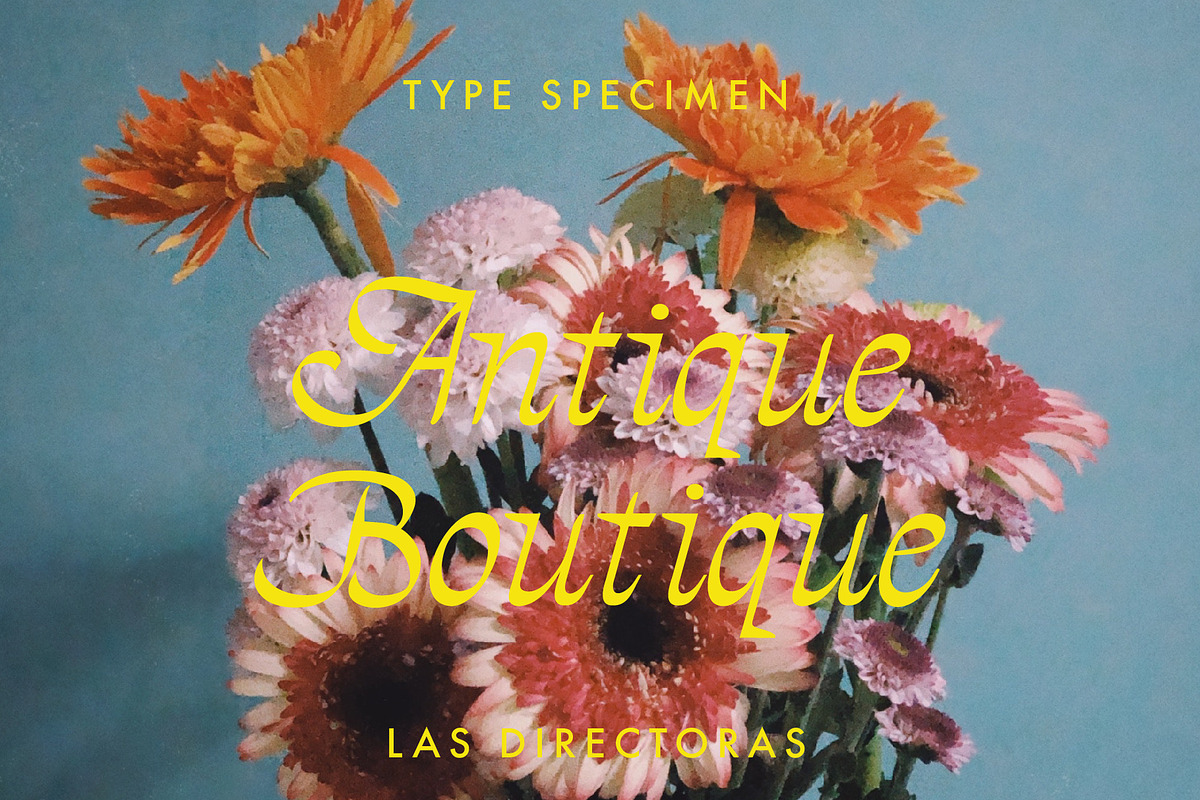 The Directors Italic Typeface, a Script Font by Tropical Type (Photo 2 of 10)