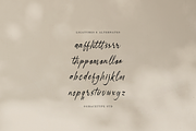 Danthalion Elegant Signature Script, a Script Font by gracetype_studio (Thumbnail 12 of 12)