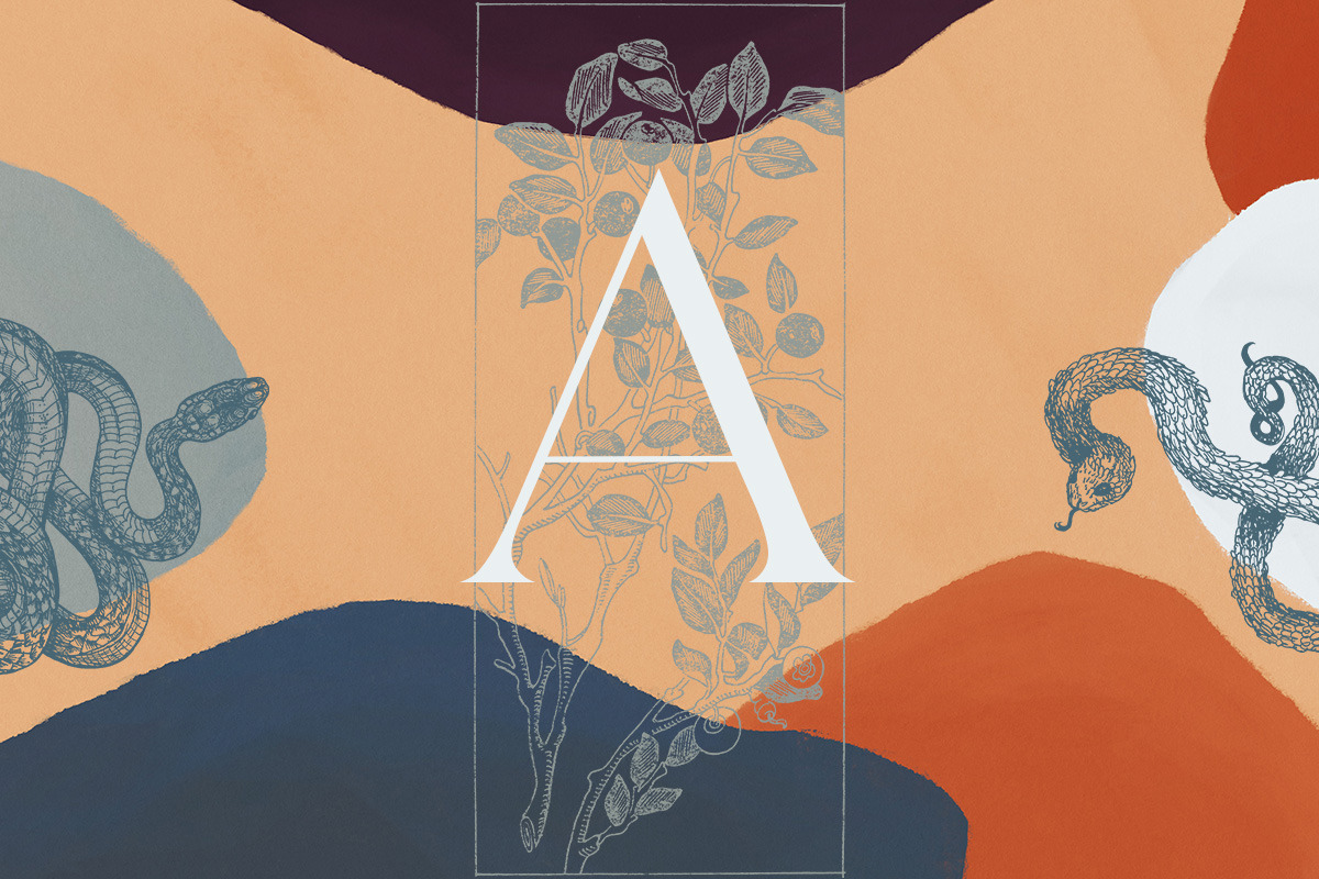 Botany and Snakes, an Object Graphic by Freezerondigital (Photo 15 of 16)