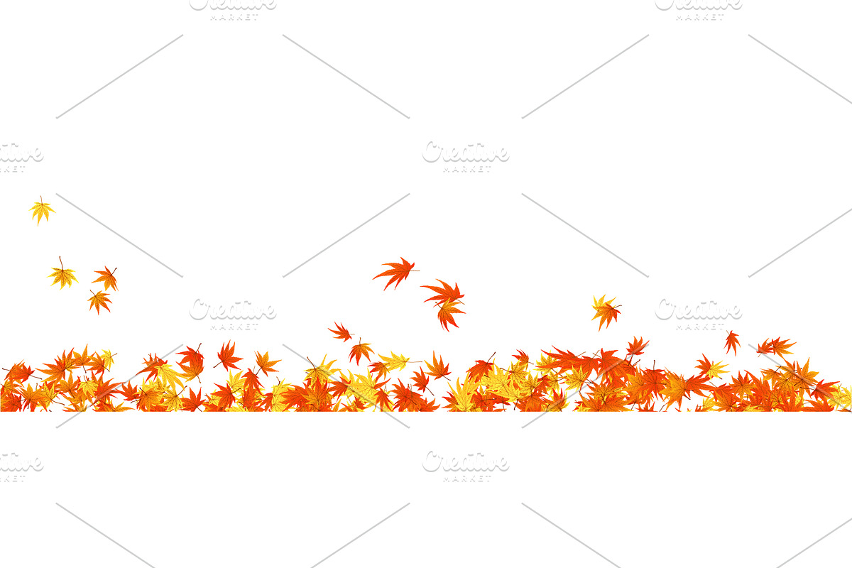 Autumn Leaves Border Set, a Decorative Illustration by Pavel Vectors (Photo 2 of 8)