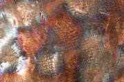 Metal Textures, a Texture Graphic by Blue Line Design (Thumbnail 7 of 21)