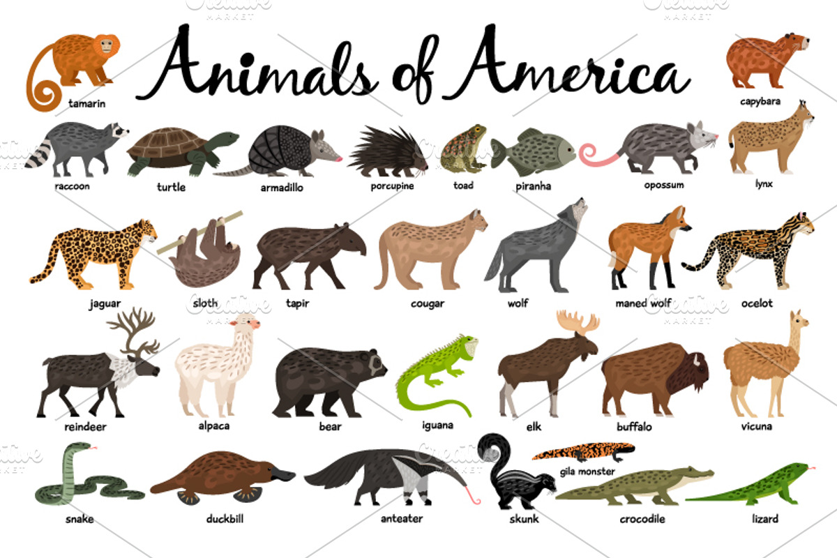 Big Set of Animals, an Object Graphic by ianakauri (Photo 5 of 12)